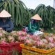 thanh-long-3-1468334037840